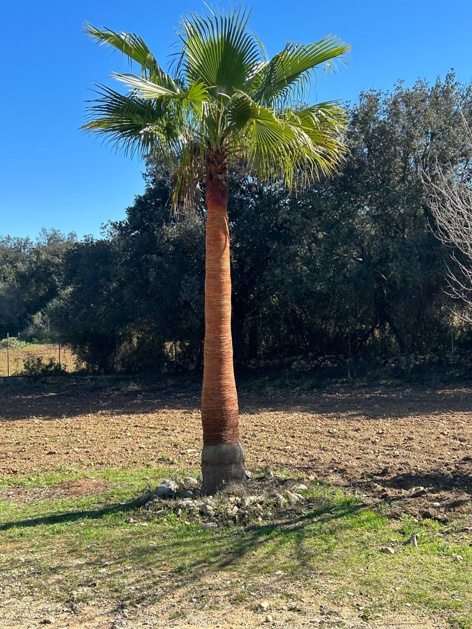 Finca Rustica mit Weitblick