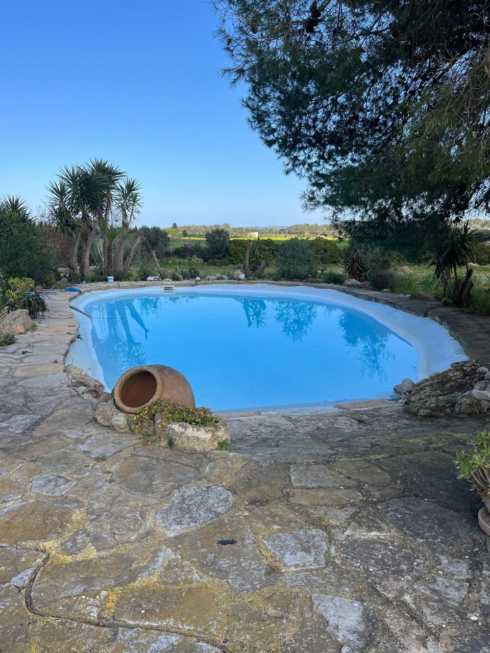 Ein Sommer auf Mallorca - Rustikale Finca mit ETV-Lizenz zu mieten