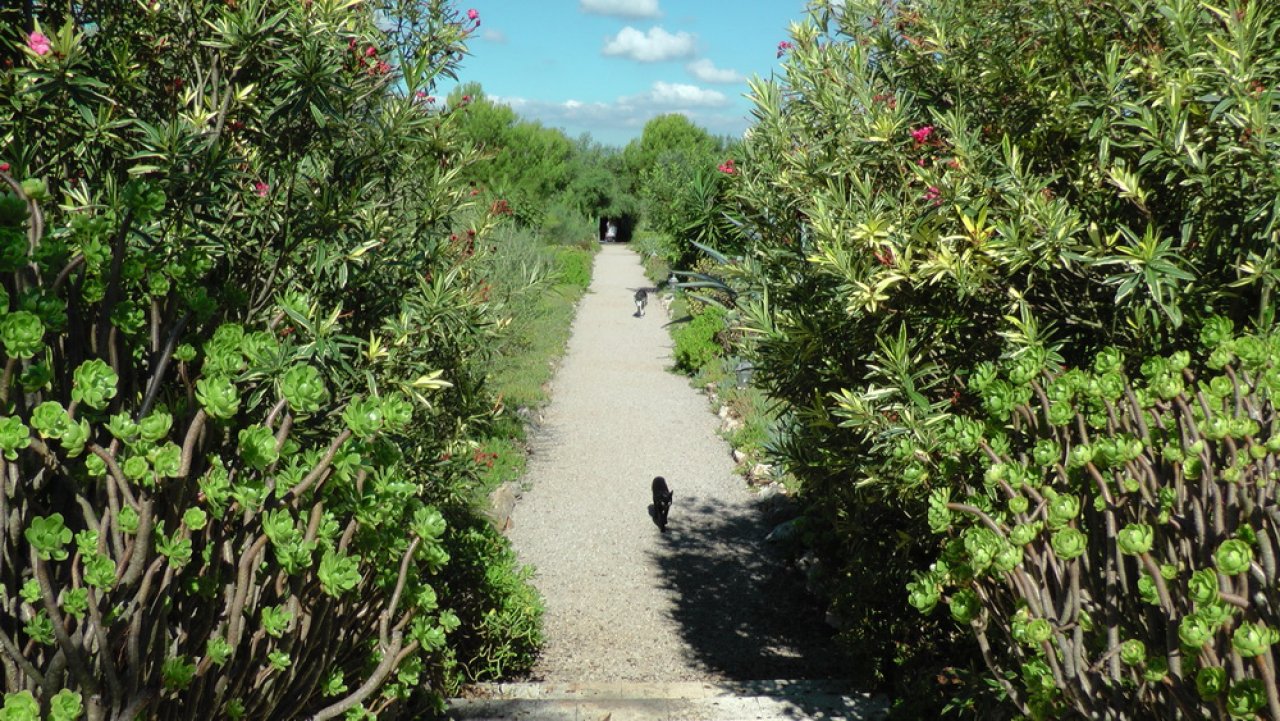 Gehweg Gehweg
