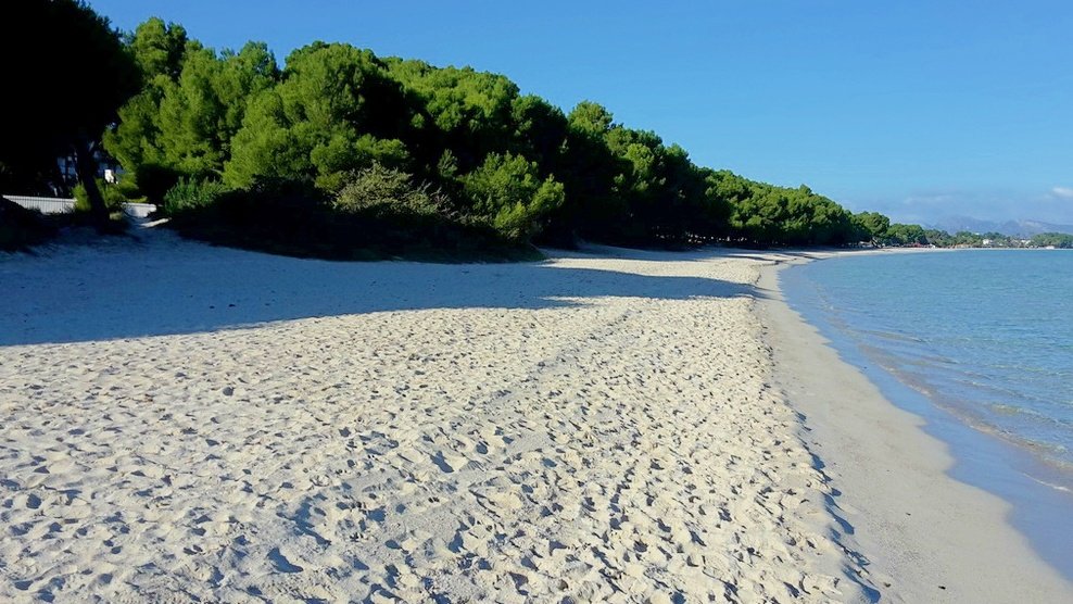 TRAUMVILLA in Santa Margalida – ländlich Anwesen mit 360 Grad Panorama Meer – und Bergblick