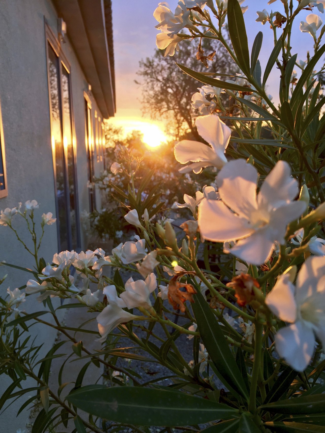 Abendsonne Abendsonne