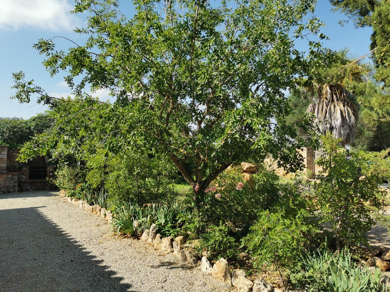 Garten Garten