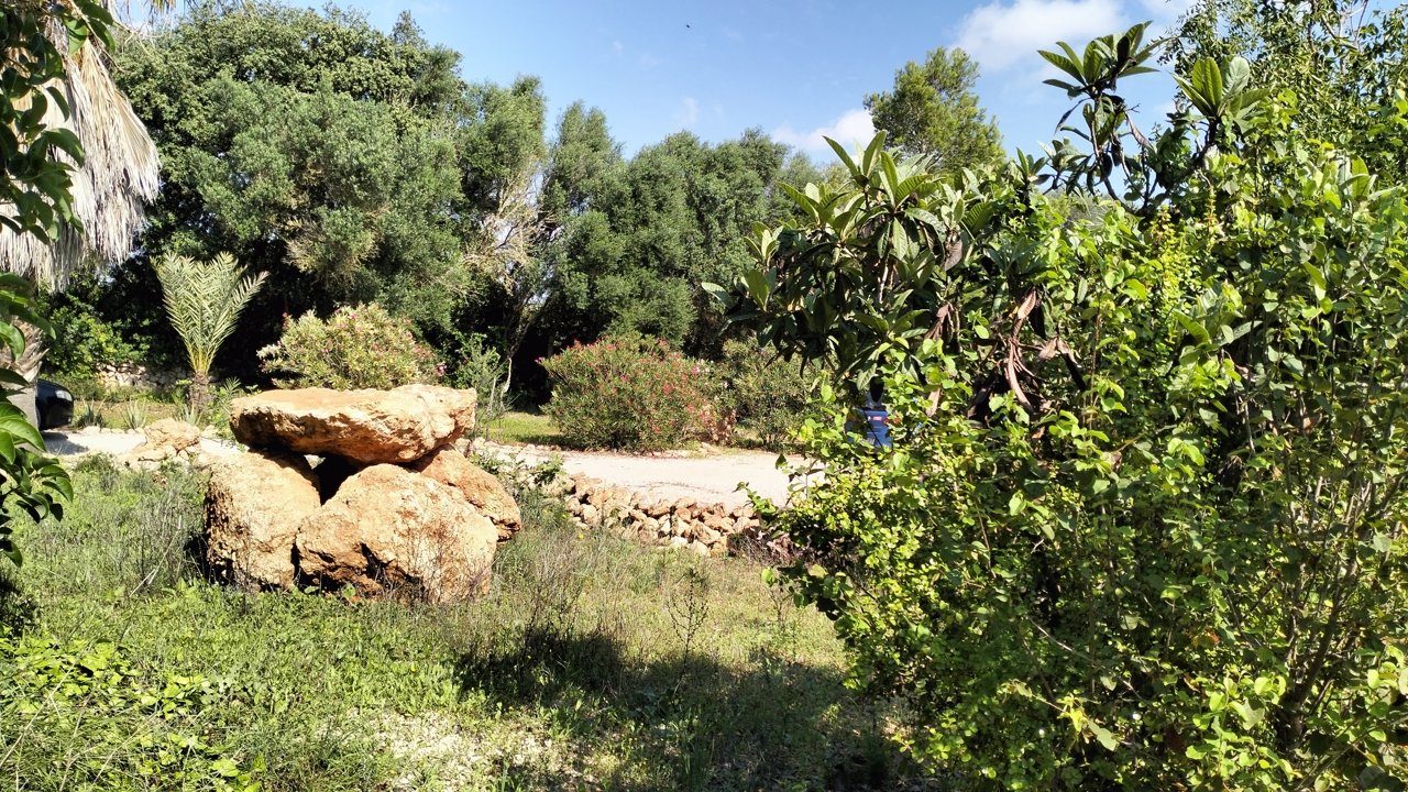 Garten Garten