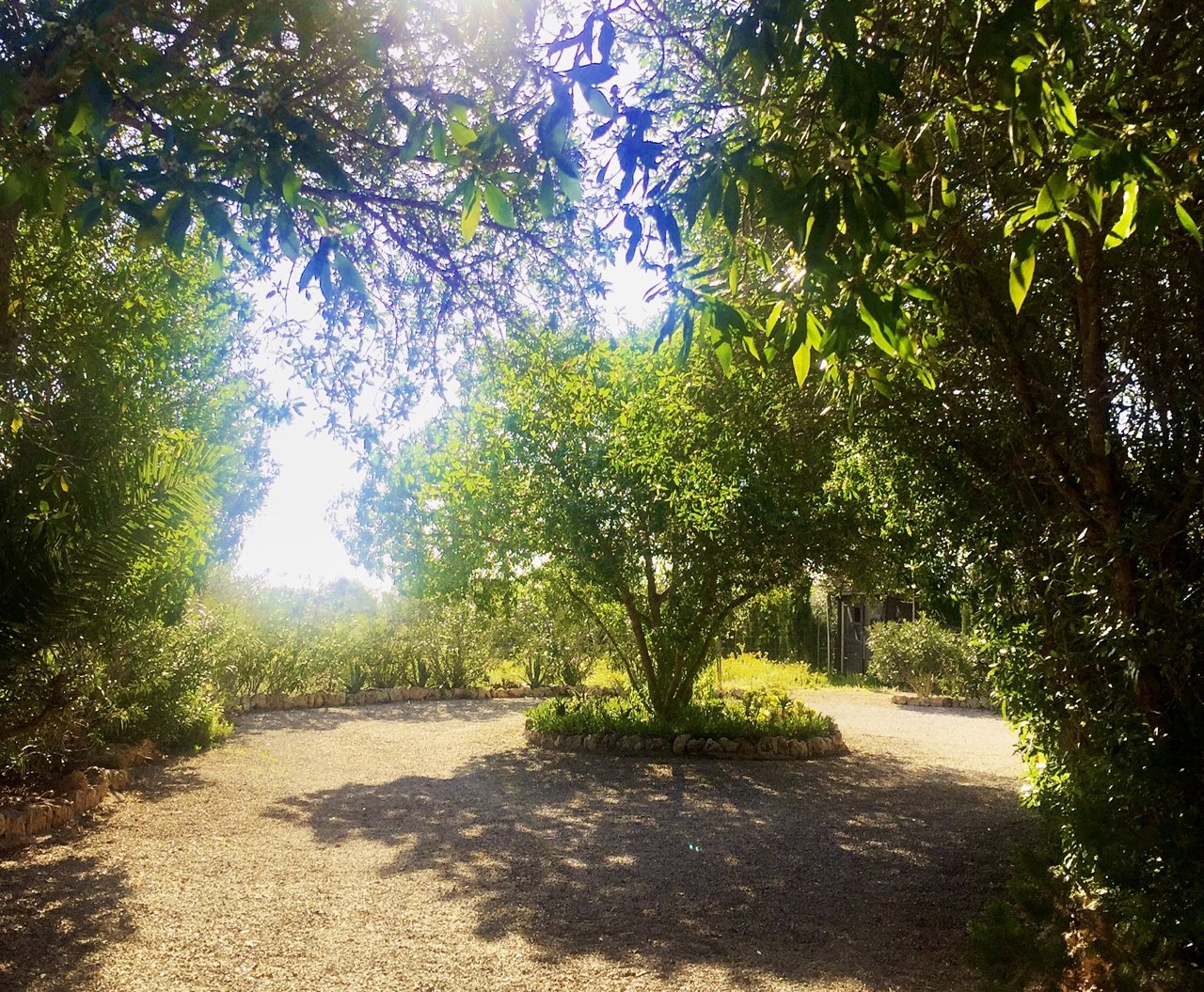 Garten Garten