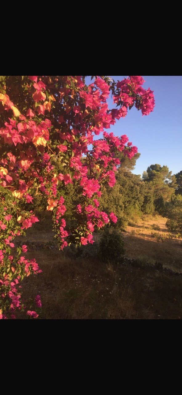 Finca Rustica mit Weitblick