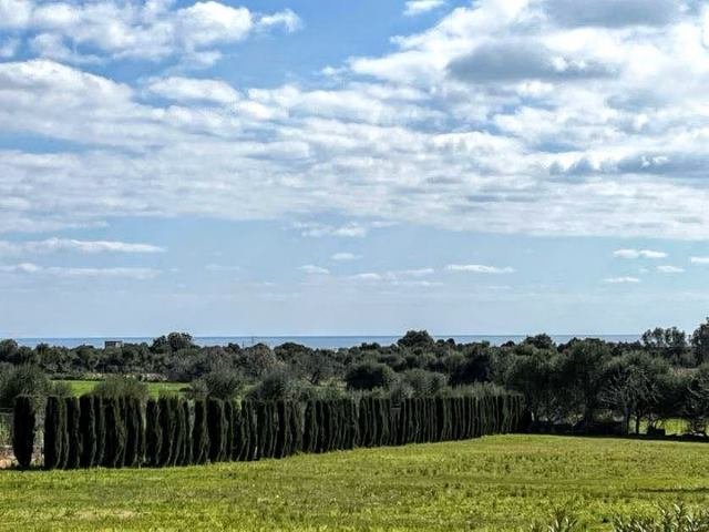 Rustikale Finca mit Vermietlizenz