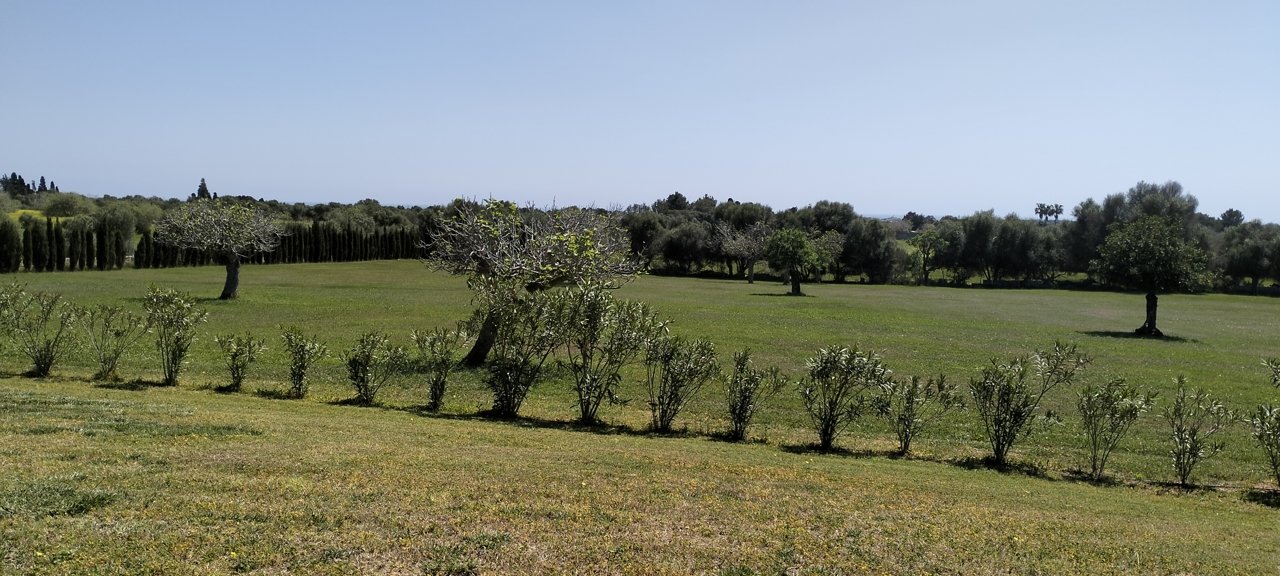 Rustikale Finca mit Vermietlizenz